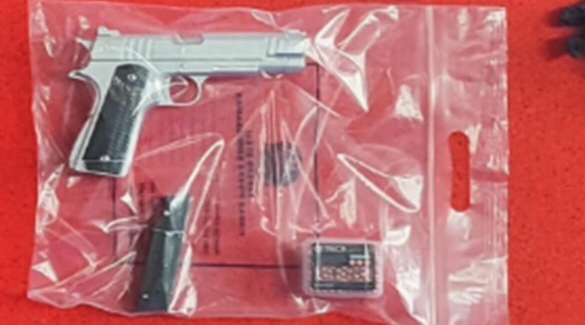 095219400_1766041568-pistol