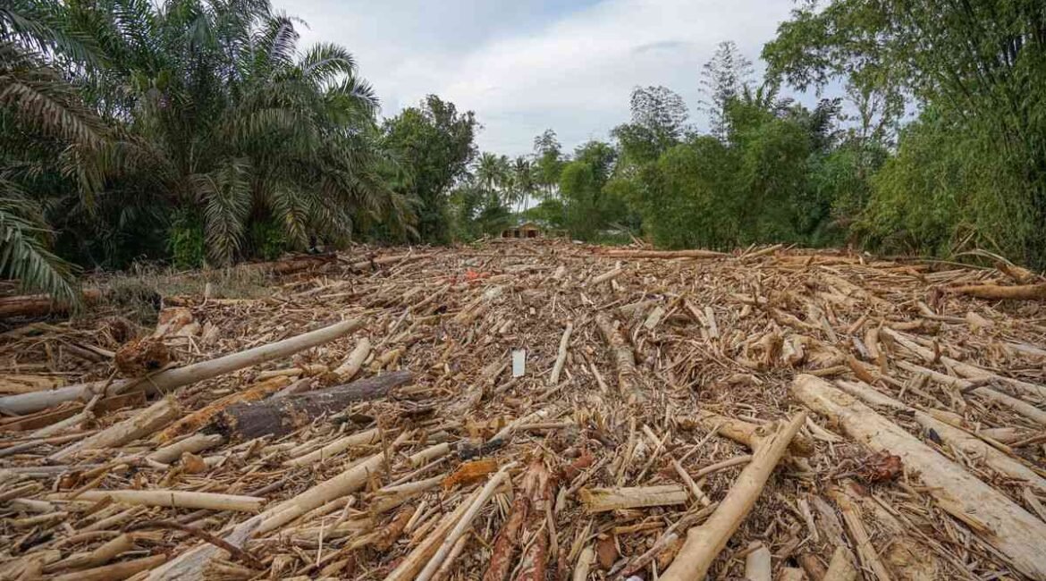 6931d26a7dde8-69383c56c925c426b7269192