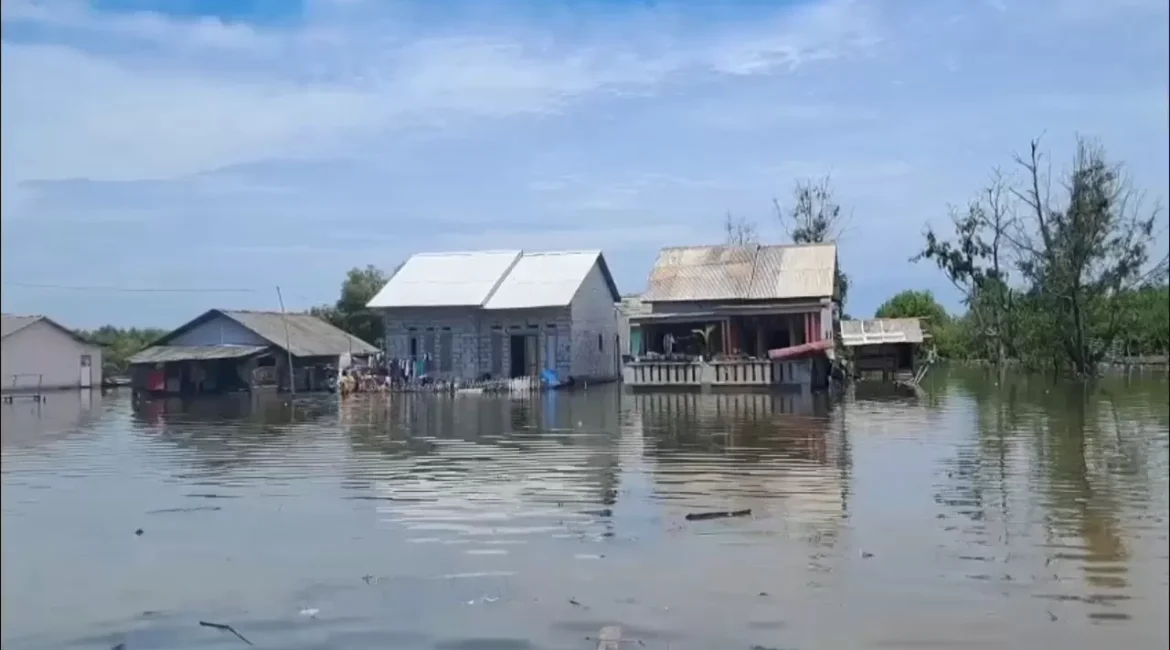 IMG-20251205-WA0269-2910548632