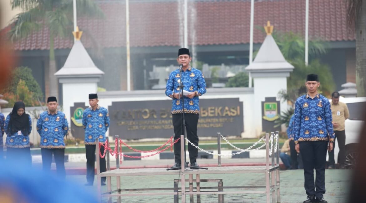 id12689_WhatsApp Image 2026-01-19 at 09.09.07