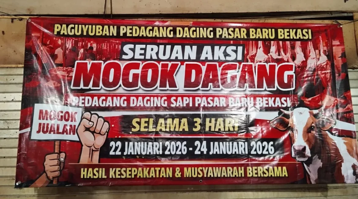 wp-17689902352755807585381004182901