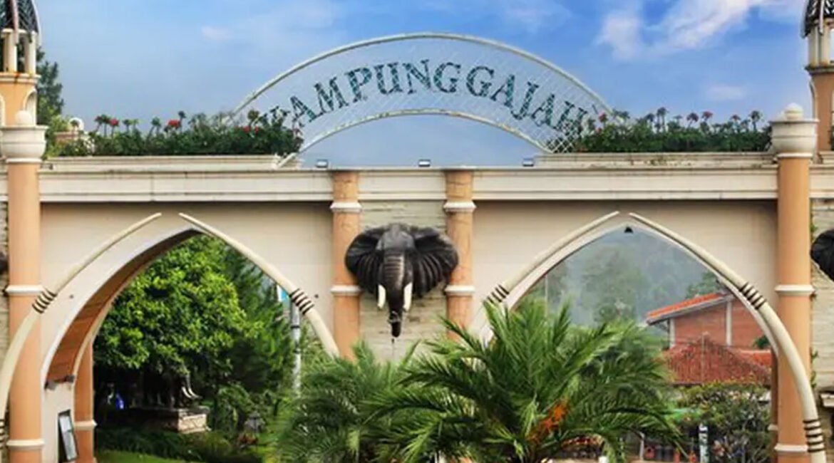 0d8f8a67541aa79a61f2ac21ab4b6639