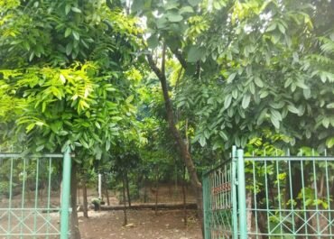 Geger! Taman Kota Cawang Diduga Jadi Sarang Prostitusi Gay, Petugas Temukan Barang Bukti Berceceran