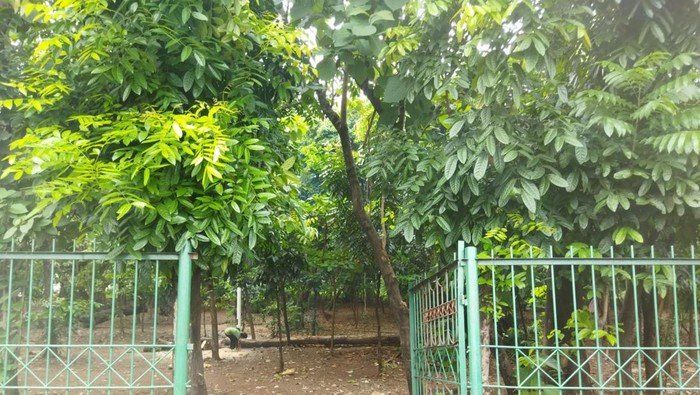 WhatsApp Image 2026-02-27 at 16.40.45