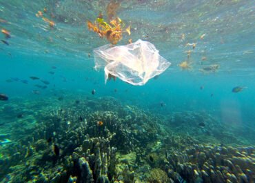Penelitian BRIN Ungkap Mikroplastik Sudah Menembus Laut Dalam Indonesia hingga 2.450 Meter