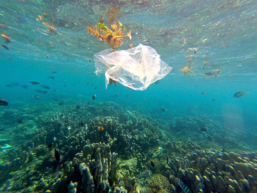Penelitian BRIN Ungkap Mikroplastik Sudah Menembus Laut Dalam Indonesia hingga 2.450 Meter