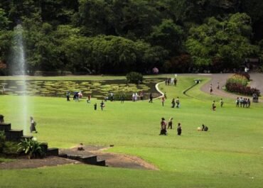Hijau dan Sakral, Kebun Raya Bogor Disiapkan Jadi Pusat Salat Id 2026