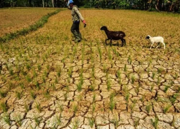 Waspada Kekeringan! Musim Kemarau 2026 di Jawa Barat Diprediksi Datang Lebih Awal