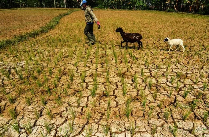 Waspada Kekeringan! Musim Kemarau 2026 di Jawa Barat Diprediksi Datang Lebih Awal