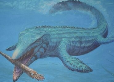 Bukan Hiu atau Paus, Inilah Predator Laut Purba yang Pernah Menguasai Samudra