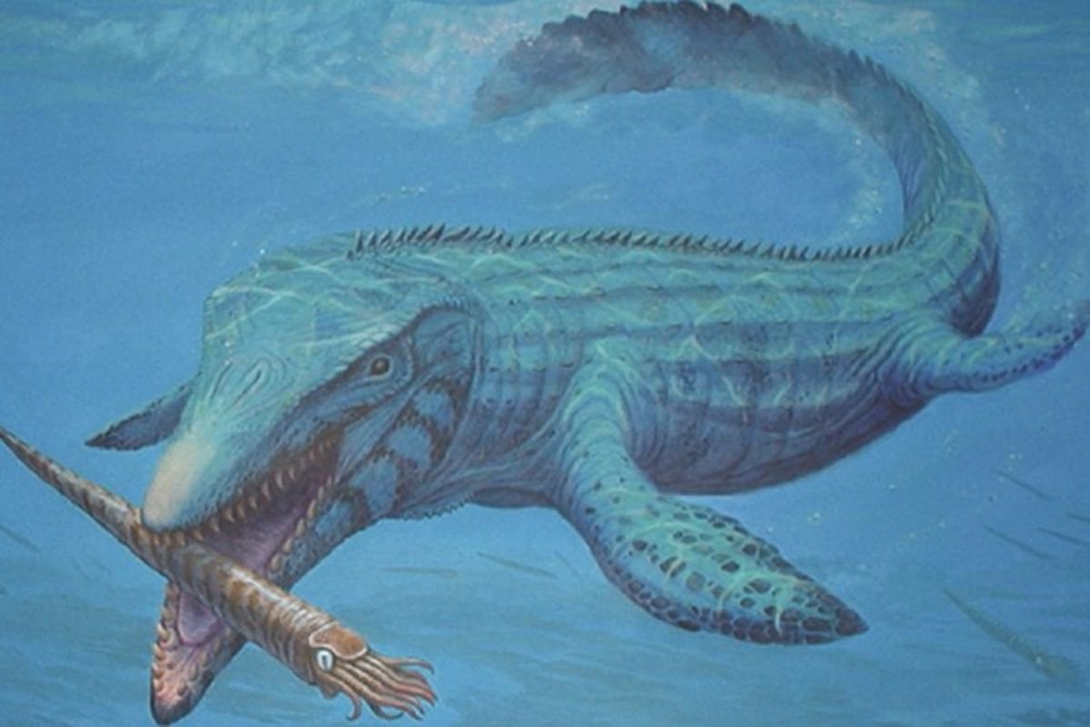 Bukan Hiu atau Paus, Inilah Predator Laut Purba yang Pernah Menguasai Samudra