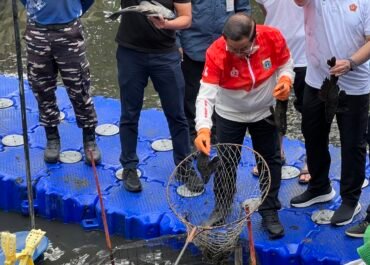 Viral Ikan Sapu-Sapu Jadi Bahan Makanan, Pemprov Ingatkan Risiko Kesehatan Serius
