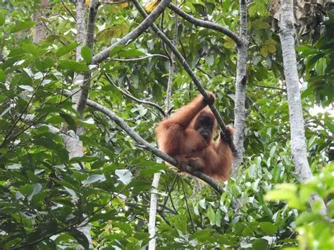 OIP - 2026-04-21T141403.791