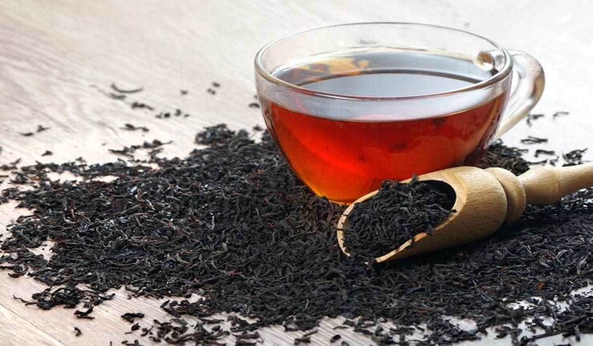 Tak Hanya Kopi, Pakar Ungkap Teh Hitam Juga Ampuh Tingkatkan Fokus dan Konsentrasi