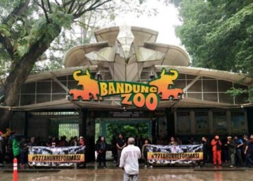 Taman Safari Siap Ambil Alih Kebun Binatang Bandung, Nasib Satwa Jadi Sorotan