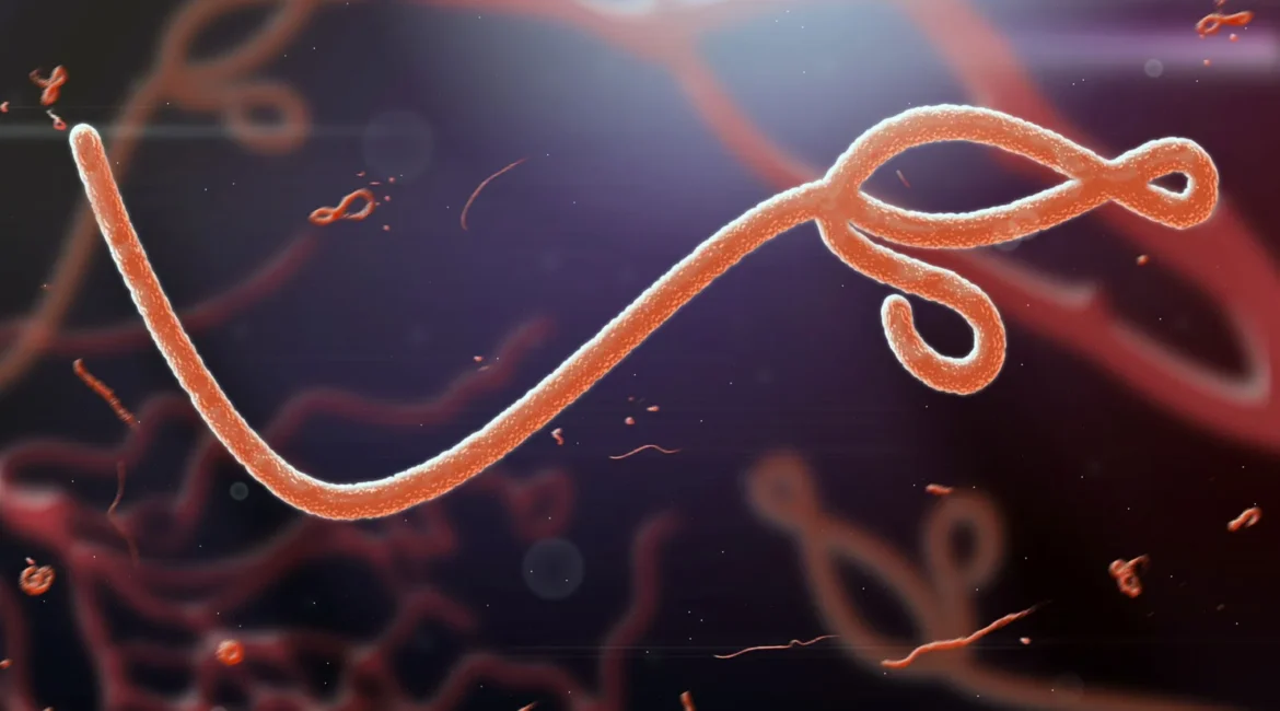 Ebola-virus