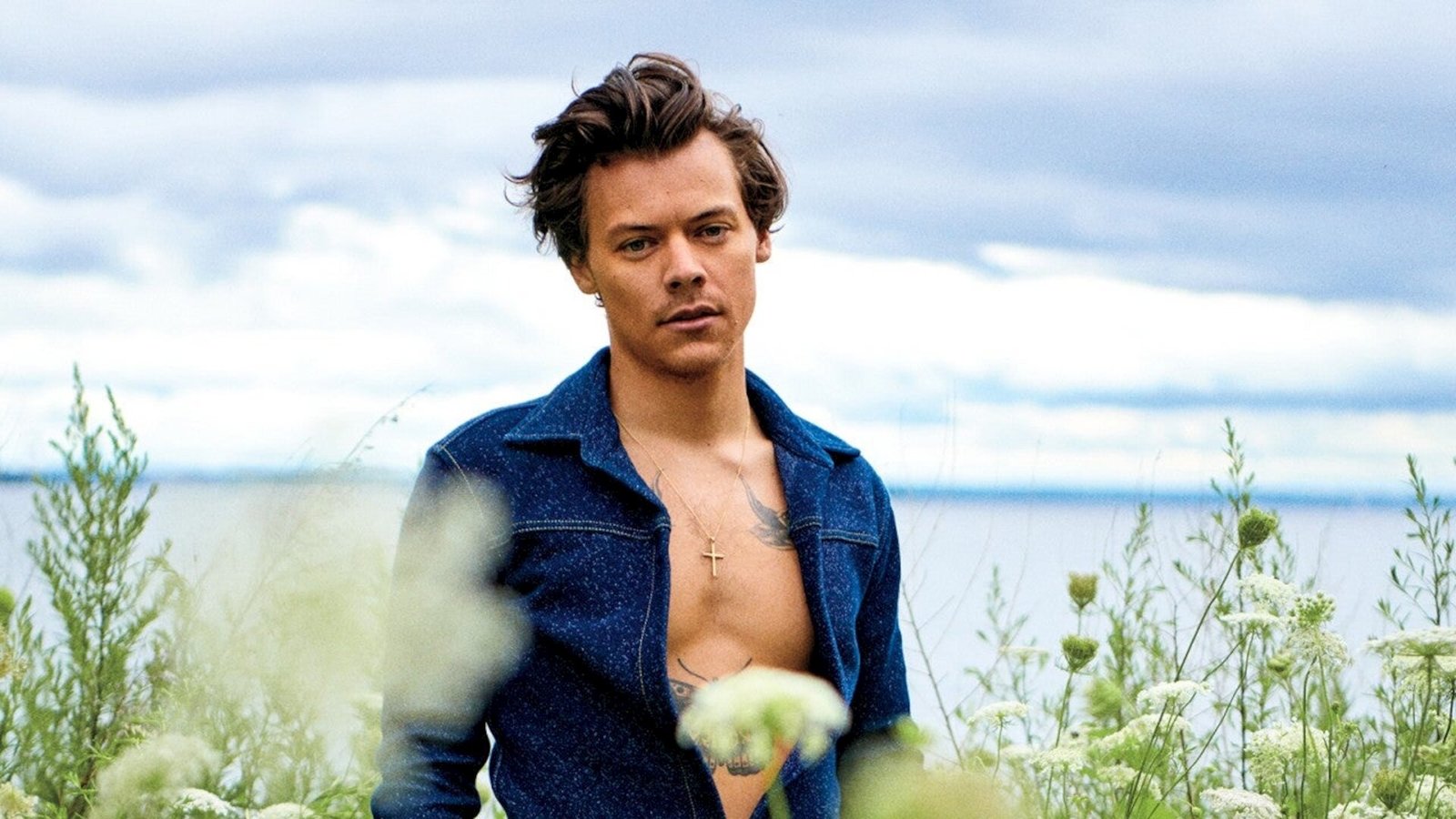 Momen Tak Terduga di Konser Harry Styles, Respons Singkat soal “Viva Palestina” Bikin Heboh Dunia Maya