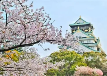 Kesempatan Emas! Pemerintah Buka Jalur Magang Resmi ke Jepang, Peserta Dapat Pelatihan dan Pengalaman Kerja Internasional