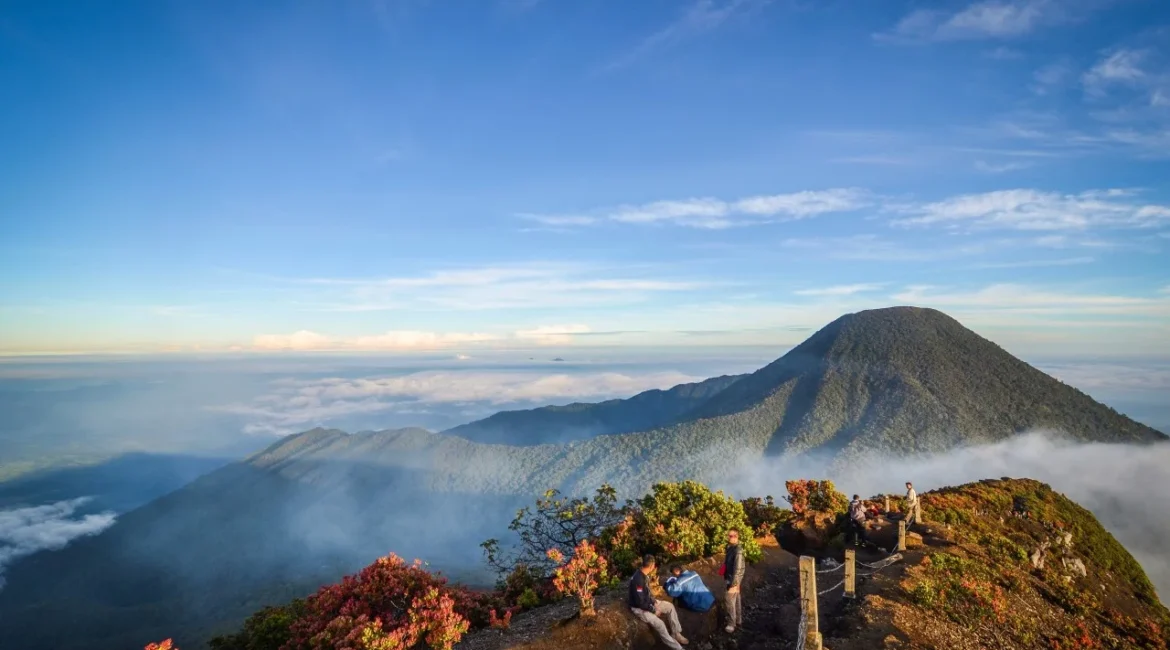 Taman-Nasional-Gunung-Gede-Pangrango