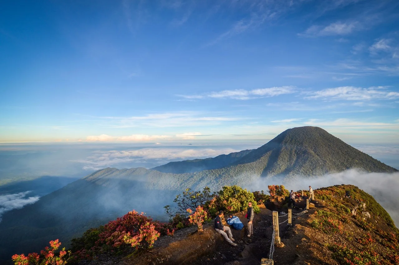 Pendakian Gunung Gede Resmi Dihentikan! Seluruh Jalur Ditutup, Pendaki Diminta Tunda Perjalanan