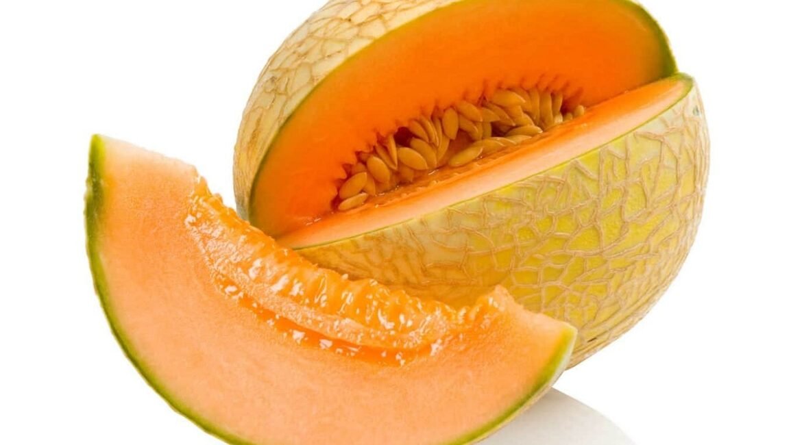cultivo-del-melon