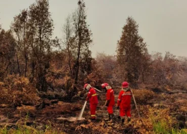 Api Belum Benar-Benar Padam, Karhutla Sepan PPU Hanguskan 10,65 Hektare
