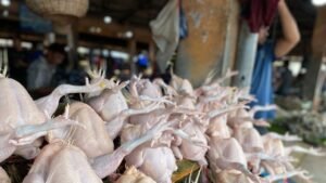 Belanja ke Pasar Jakarta Makin Mahal, Harga Cabai dan Ayam Mulai Merangkak Naik