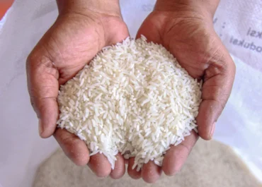 Beras dan Tepung Tiba-tiba Berkutu? Begini Cara Membersihkan Dapur agar Tak Balik Lagi