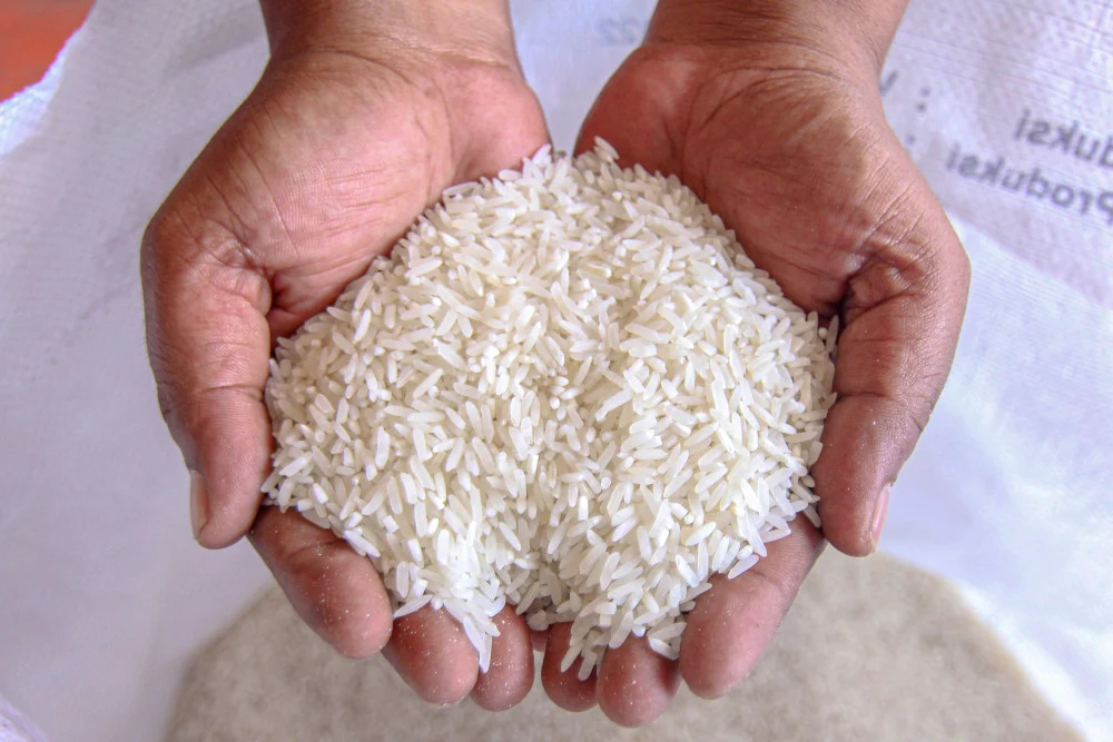 Beras dan Tepung Tiba-tiba Berkutu? Begini Cara Membersihkan Dapur agar Tak Balik Lagi