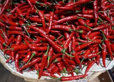 Harga Cabai Merah Makin Pedas, Ratusan Daerah Hadapi Lonjakan hingga Rp193 Ribu per Kg