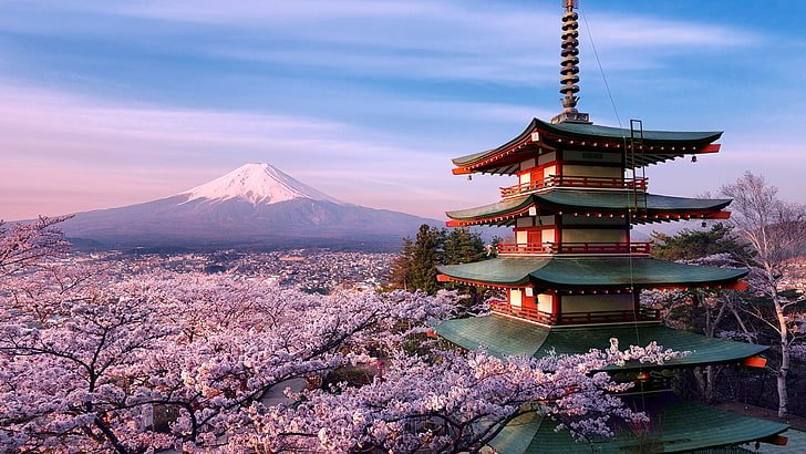 cherry-blossom-volcano-mountain-fuji-wallpaper-preview