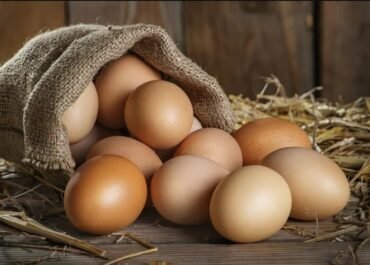 Telur Cokelat Lebih Mahal Belum Tentu Lebih Sehat, Ini Fakta yang Perlu Diketahui
